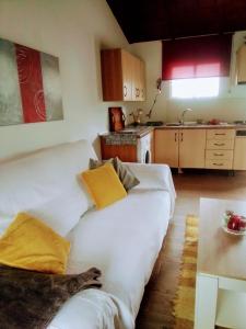Kuchyň nebo kuchyňský kout v ubytování Casa Sebastián
