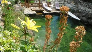 a pool of water with a bench and a deck at La Cabane du Bandit in Pietroso