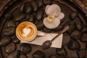 a cup of coffee and a flower on a plate at HC6 Boutique Marbella - Adults Only in Marbella