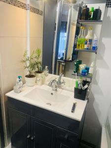 a bathroom with a sink and a mirror at Au pied de la tour Eiffel Trocadéro in Paris