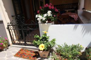 Balkón nebo terasa v ubytování PINNATA - Appartamenti Il Palmento