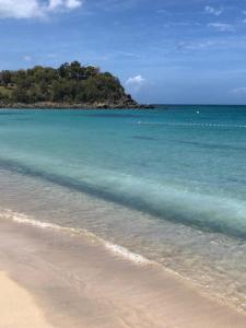 a beach with blue water and an island in the background at Appartement 2 pièces "Les Ilots de Friar's bay" in Friar's Bay