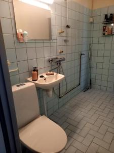 a bathroom with a toilet and a sink at Citykoti in Varkaus +19 photos