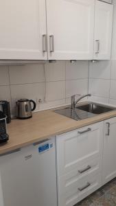 una cocina con armarios blancos y fregadero en Gemütliches Apartment am Kurpark in Bad Ems, en Bad Ems