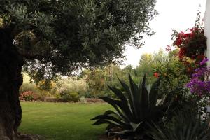 حديقة خارج Villa Playa Delta del Ebro