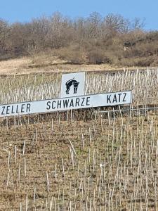 Fotografie z fotogalerie ubytování Fewo Siemens Mosel v destinaci Zell an der Mosel