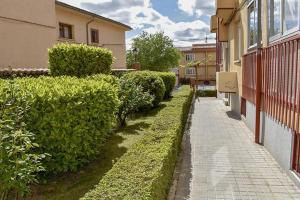 Zahrada ubytování Apartamento céntrico con piscina