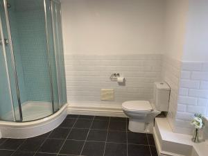 a bathroom with a toilet and a glass shower at Cosy cottage in picturesque Snowdonia with stunning views of the Moelwyn mountains in Blaenau-Ffestiniog