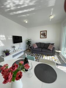 TV a/nebo společenská místnost v ubytování Luxury Apartment Majda with a pool