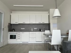 Kuchyň nebo kuchyňský kout v ubytování Apartmán Darsinka