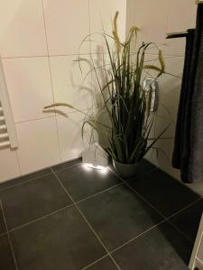Fotografie z fotogalerie ubytování Apartment zur Wiege Anhalts v destinaci Ballenstedt