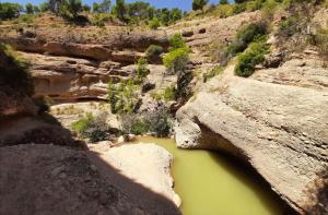 صورة لـ Casa rural La bodega في أليكانتي