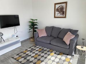 TV a/nebo společenská místnost v ubytování Luxury Apartment Majda with a pool