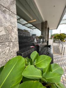米里诺瓦酒店的休息区