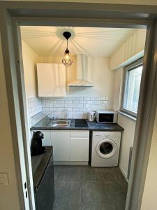 une petite cuisine avec un évier et une machine à laver dans l'établissement Studio bohème - Centre - Proche gare, à Mulhouse