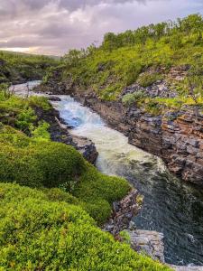 JakobselvにあるLille Chili Eat and Sleep ASの緑の木々が流れる岩山の中腹
