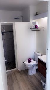 a bathroom with a toilet and a shower and a sink at Studio Ana Martinique in La Trinité