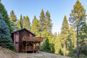 uma cabana na floresta com um deque em Yosemite Big Rock Cabin em Fish Camp