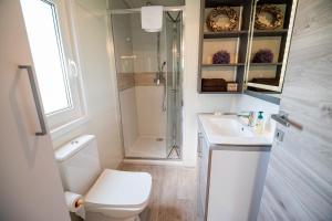 卡帖歐布薩維的住宿－Premium Mobile Tree House with Thermal Riviera Tickets，浴室配有卫生间、淋浴和盥洗盆。