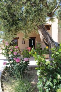 A garden outside Ruralracons