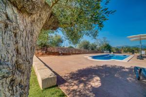 Bazén v ubytovaní Ideal Property Mallorca - Brivo alebo v jeho blízkosti