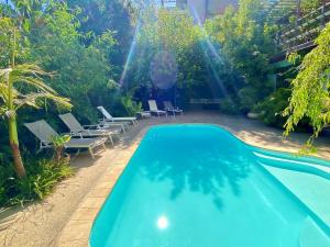 una piscina en un patio con sillas y árboles en Cape Standard Guest House, en Ciudad del Cabo