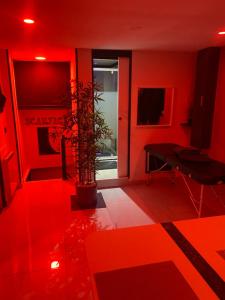ein roter Raum mit einer Topfpflanze und einem Tisch in der Unterkunft love love 23 in Villeurbanne