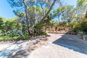 Zahrada ubytování Ideal Property Mallorca - Casa Tenis