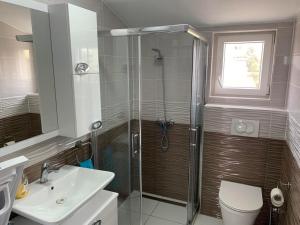 a bathroom with a shower and a toilet and a sink at D&W Mandre 34 in Mandre +10 photos