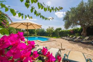 una piscina con sillas, sombrilla y flores rosas en Ideal Property Mallorca - Can Nyany Buger, en Búger