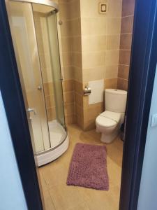a bathroom with a shower and a toilet and a rug at Pensiunea Eric in Iaşi +72 photos