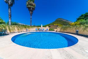 a swimming pool with chairs and palm trees at Sort Llarga in Pollença