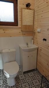 bagno con servizi igienici bianchi e lavandino di Zakątek Borsk, Jasnochówka 2, domek 37 a Borsk