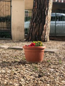 una maceta de flores sentada en el suelo delante de un árbol en Portuense Sweet Home, en Roma