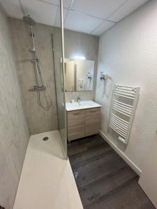a bathroom with a shower and a sink and a mirror at Le Rocher Du Cerf in Le Lioran