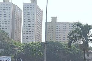 un palmier devant quelques grands bâtiments dans l'établissement Jays Apartment - Colombo 02 at the heart of convenience, à Colombo