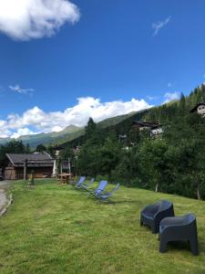a group of blue chairs sitting in a field at NONNA PINA Appartamento PUTTI in Padola