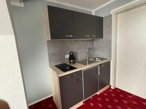 Kuchyň nebo kuchyňský kout v ubytování Hotel Berlin