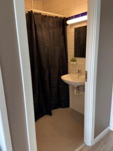 La salle de bains est pourvue d'un rideau de douche et d'un lavabo. dans l'établissement Danhostel Faxe, à Faxe