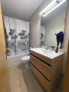 uma casa de banho com um lavatório, um WC e um chuveiro em Apartaments Albiñana em Llavorsí