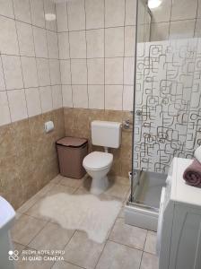 a bathroom with a toilet and a glass shower at Kuća za odmor MANA in Lun