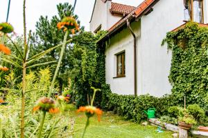Ogród w obiekcie Leśna Zagroda