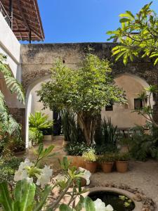 Gallery image of Subira House in Lamu