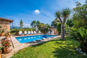 a pool with chairs and a palm tree in a yard at Ideal Property Mallorca - Villa Erika in Inca