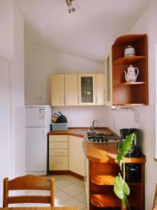 Kuchyňa alebo kuchynka v ubytovaní Apartmani Nikolina