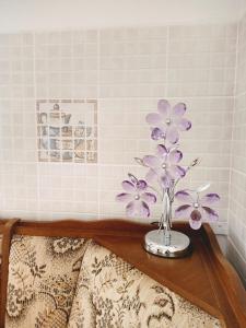 Fotografia z galérie ubytovania Apartmani Nikolina v Ražanaci