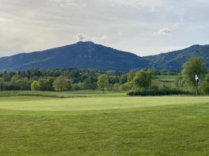 Foto da galeria de Zimmer Solothurn Luterbach em Luterbach