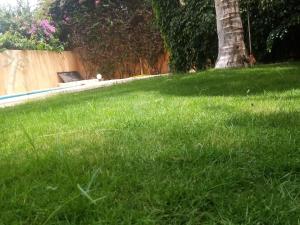 Gambar di galeri bagi Villa Na aldiana di Sali Nianiaral