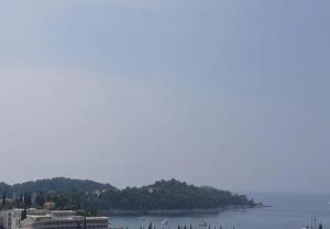eine Insel mitten im Wasser mit Gebäuden in der Unterkunft Apartment Dolce in Cavtat + 9 Fotos