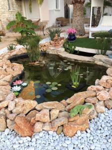Ein Garten an der Unterkunft Casa Bonita